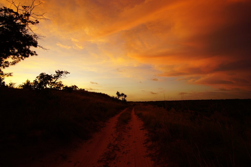 Illustration for article titled AWOL Around Australia... East Arnhem Land. Part 2
